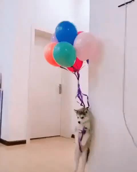 ESTOU INDO, MEU PLANETA PRECISA DE MIM