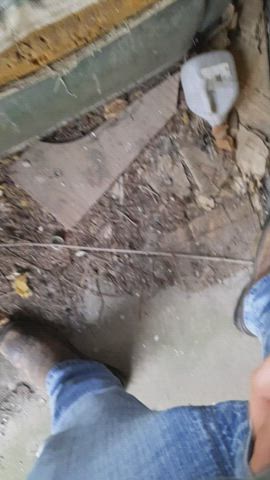 pissing on an old chair in the barn