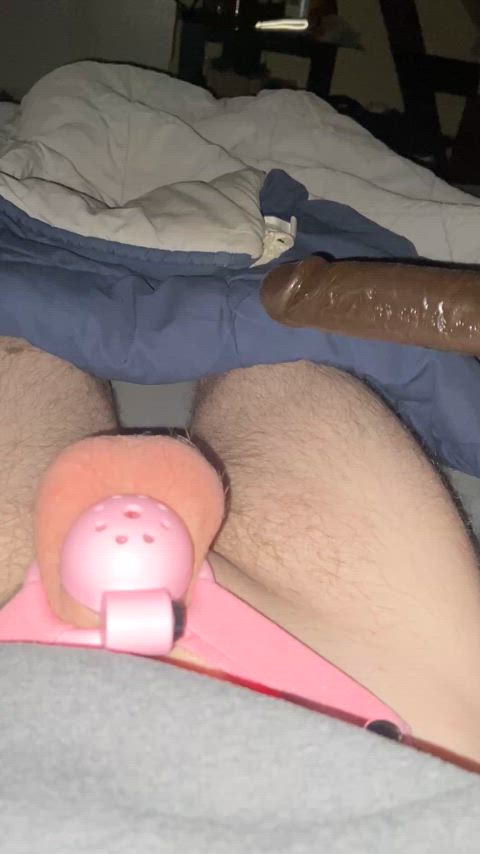 cagedsissy2020 sissy sissy slut gif