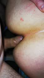 Anal Ass Sex gif