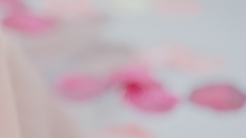 couple sex toy vibrator gif