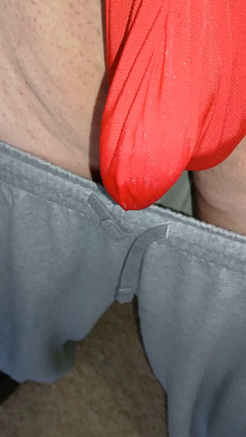 amateur cock ring homemade precum shaved small cock solo thong uncut gif