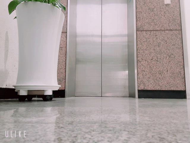 ass exhibitionism femboy gif