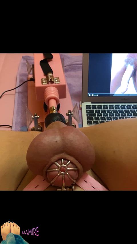 anal bbc beta chastity chastity belt fuck machine sissy bnwo-movement gif