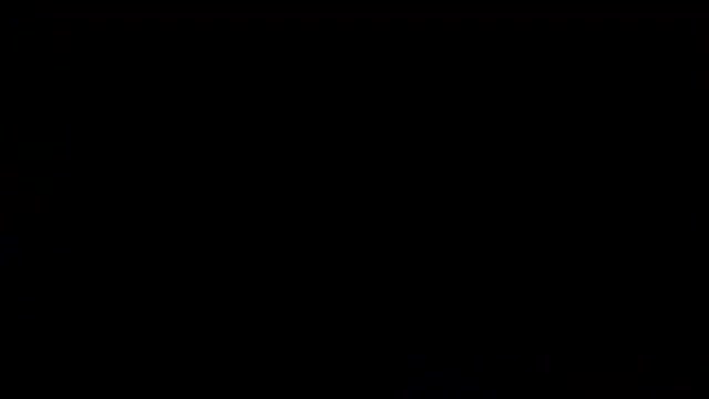 40450307