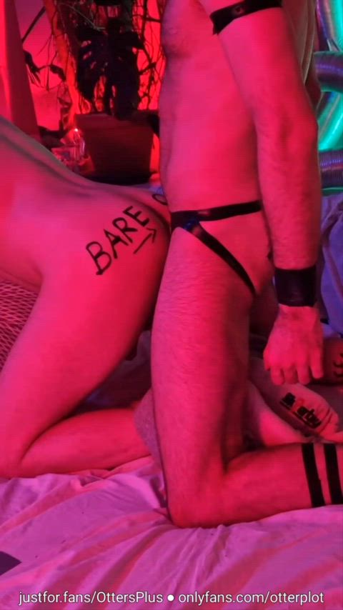 bareback domination fuck jock muscles rough top gif