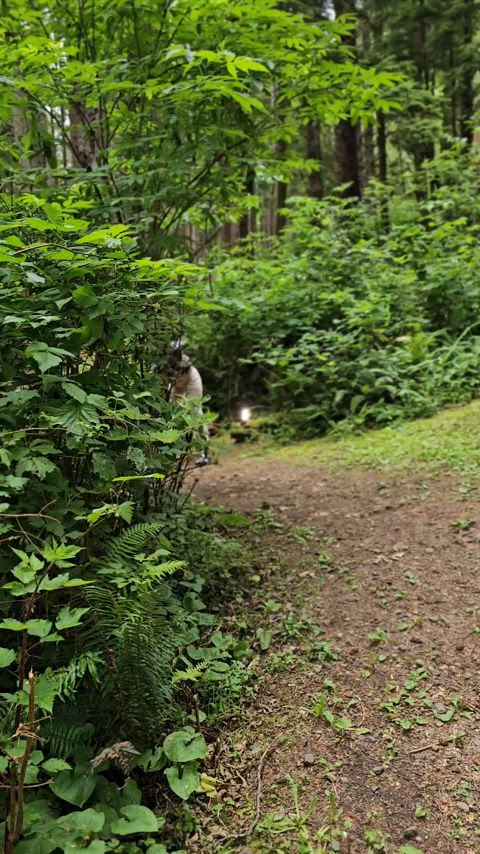 You caught this girl in the woods and one thing led to another...
