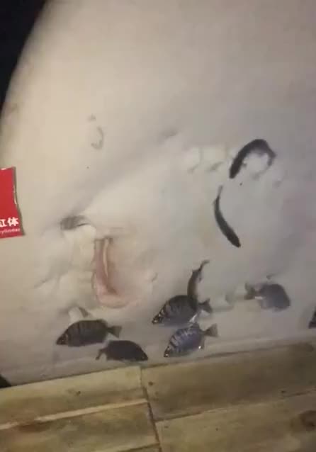 No Way To Escape