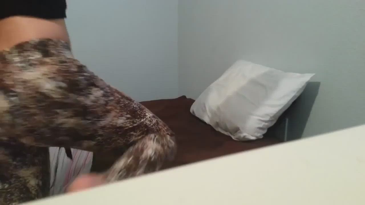 Latina twerking and grinding