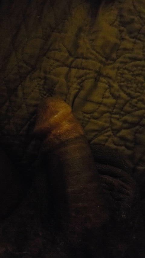 big dick big dicks dickswanger gif