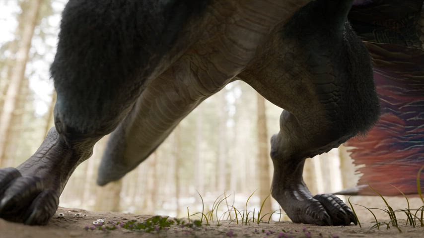 cock furry knot gif