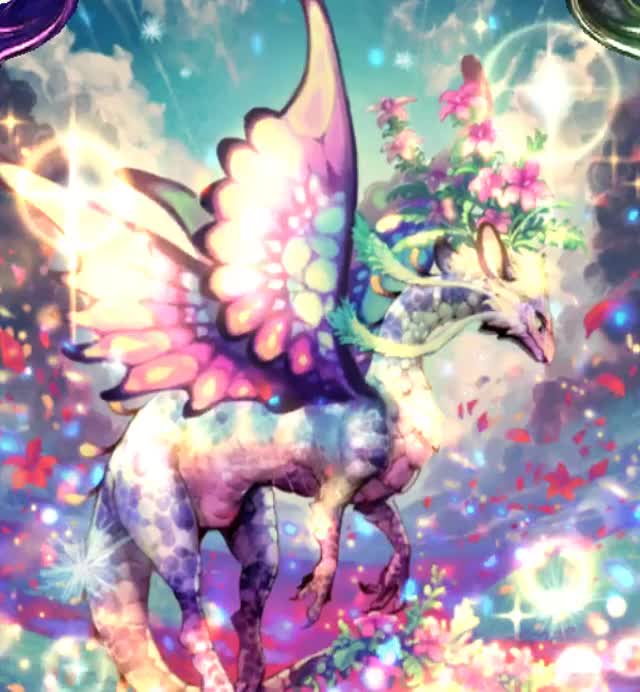 Fairy Dragon+
