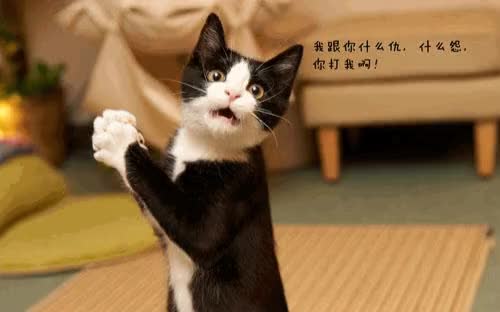 淮北哪里能够信用卡套现QQ【239939502】