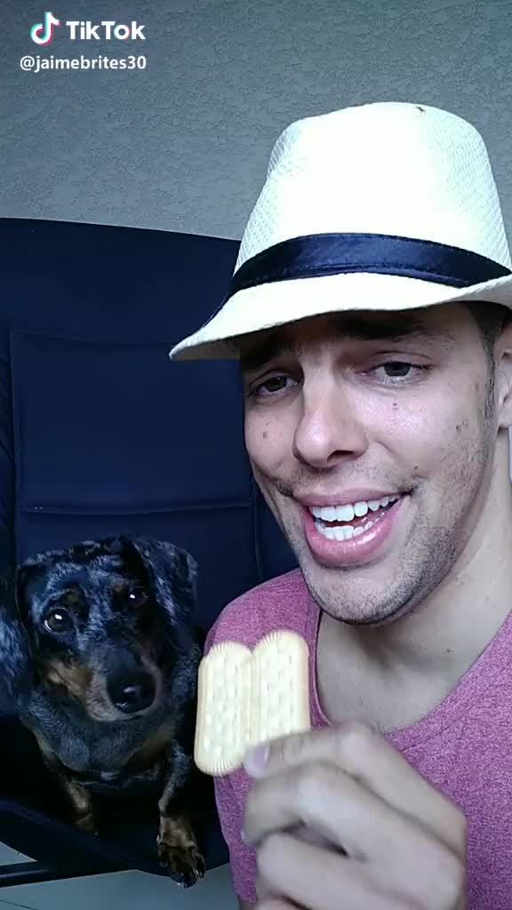 A Babi sabe brincar de Stop ?? #BabiFominha #dog #comedia