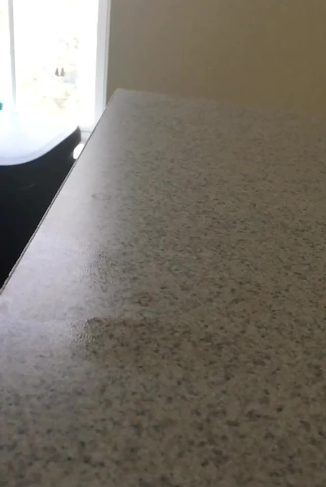 If this gets enough likes the next one is going to be a slowmo cumshot vid! What