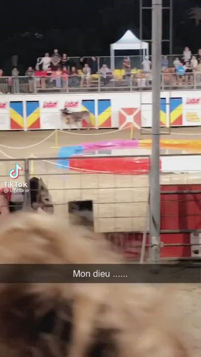 Just a girl riding a donkey