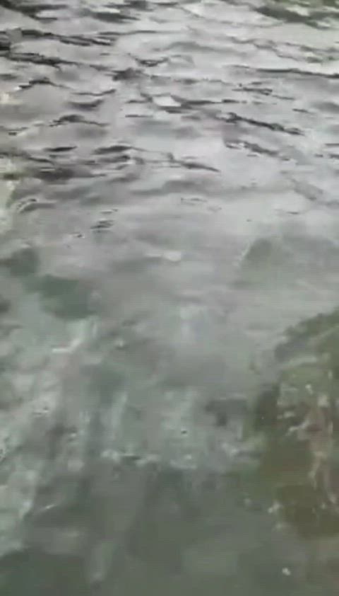 bikini candid pee piss gif