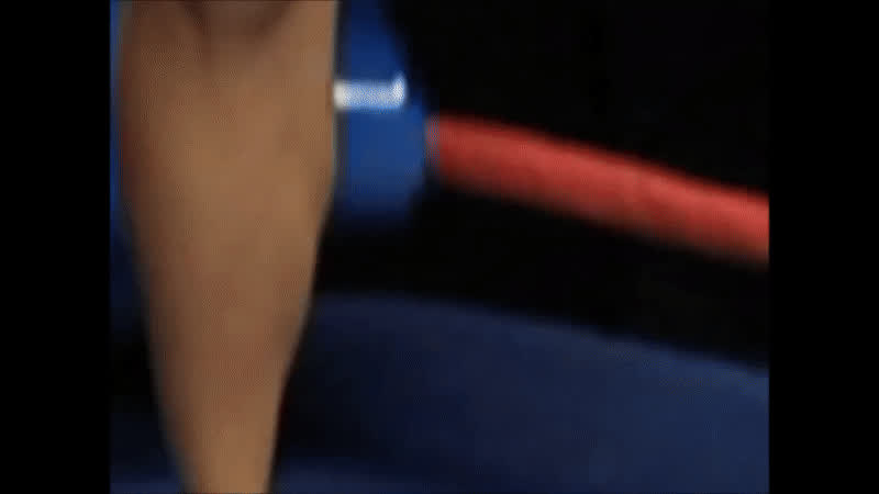 asian bikini brunette nicole oring wrestling gif