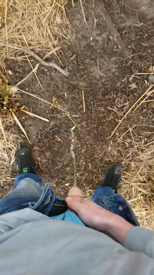 Morning piss doesn't get much better than this.