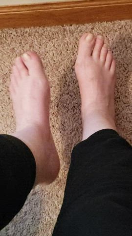 feet feet fetish feet sucking gif