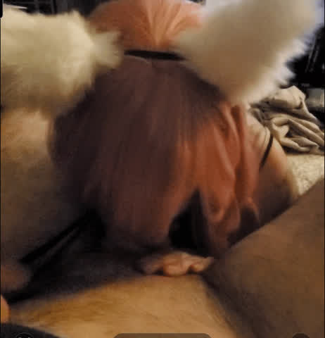 Feeding my Kitten