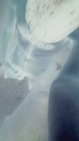 BWC Big Dick Cock Cock Ring Cockslap Shower gif