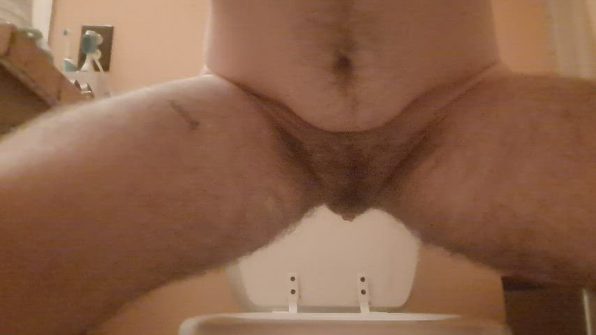 ftm humiliation piss pissing gif