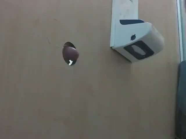 Can’t beat a gloryhole blow!!!