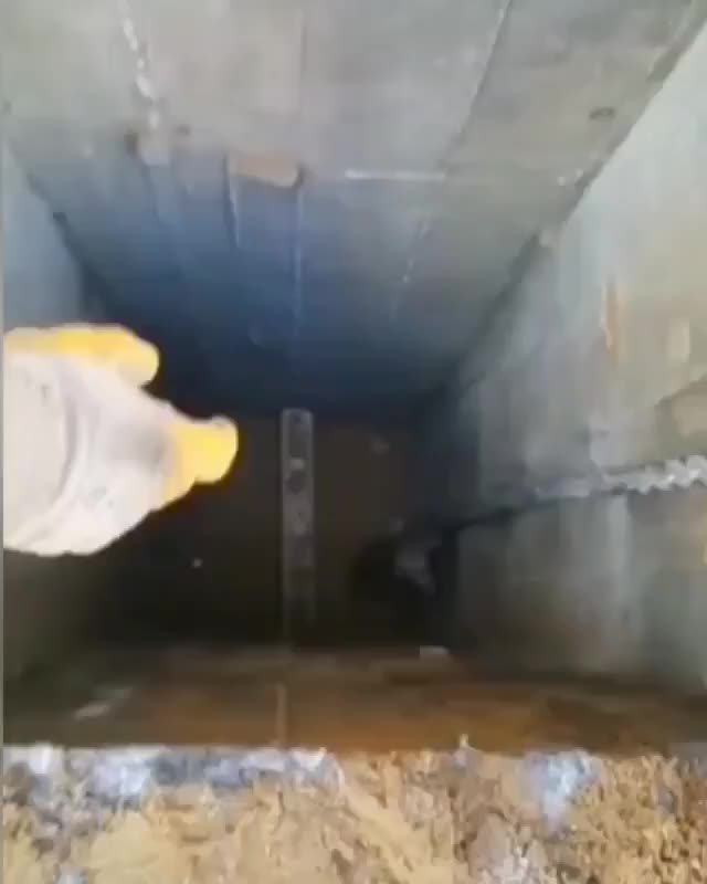 sevindirici haberler gif