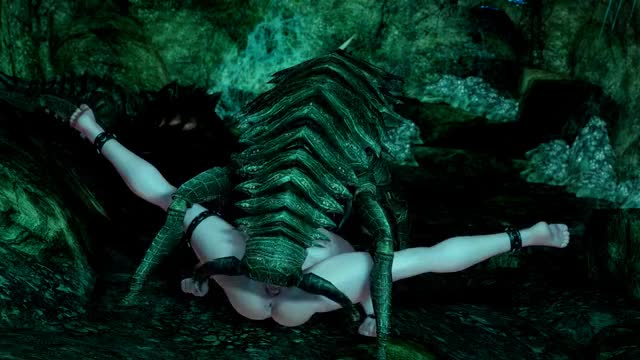 Elder Scrolls V Skyrim 2019.01.22 - 19.18.34.10