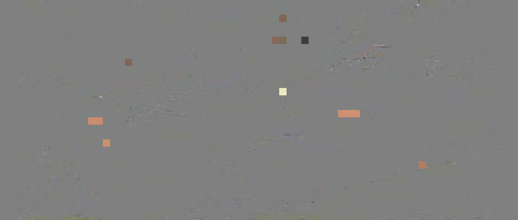 Homemade Mature Pussy gif