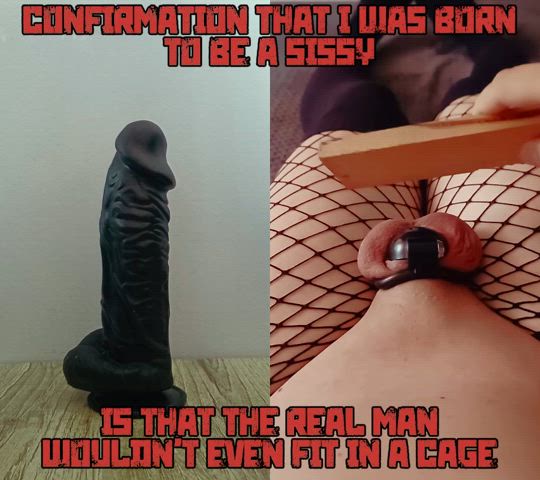 chastity femboy little dick sissy slapping gif