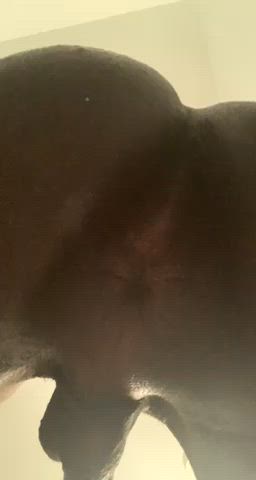 amateur ass big ass pov gif