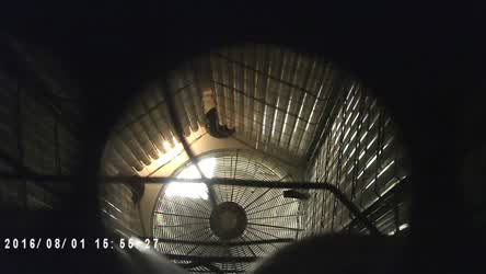 Hidden Cam Tanned Voyeur gif