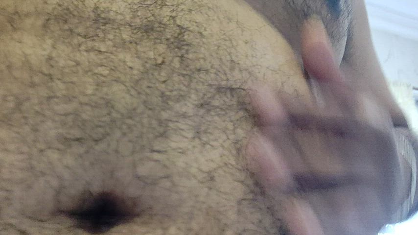 bull daddy indian gif