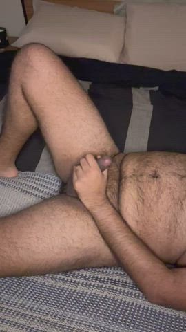bear cock jerk off gif