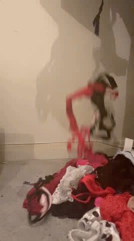 Lingerie Panties Thong gif