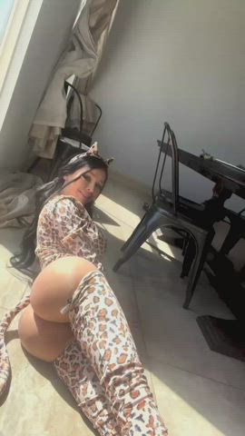 Bimbo cat