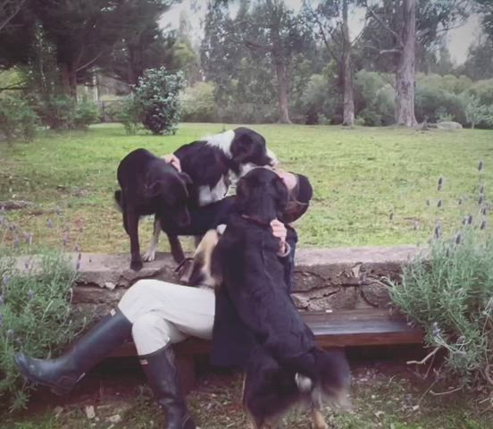 brunette outdoor smile gif