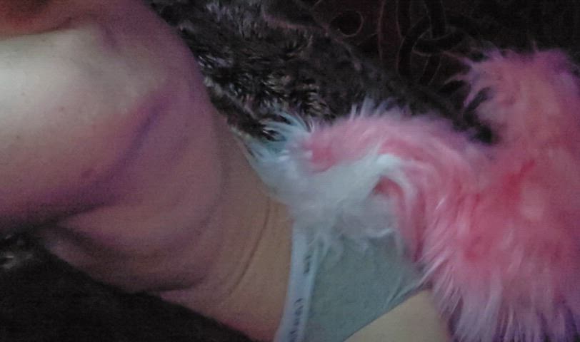 ass big ass furries furry panties gif