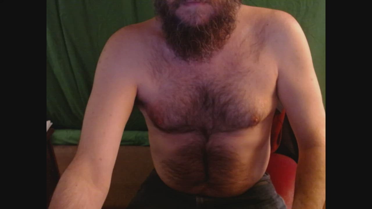 Chubby Daddy Hairy gif
