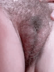 Don’t you wanna run your fingers through my bush?