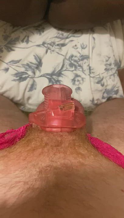Once you're locked up, the main pleasure you should receive is in observing your