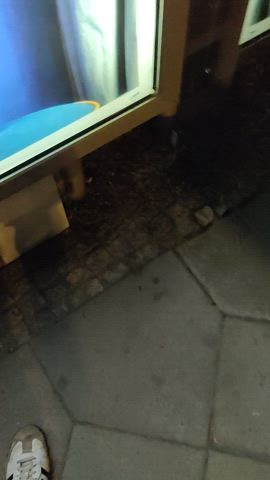 BWC Piss Public