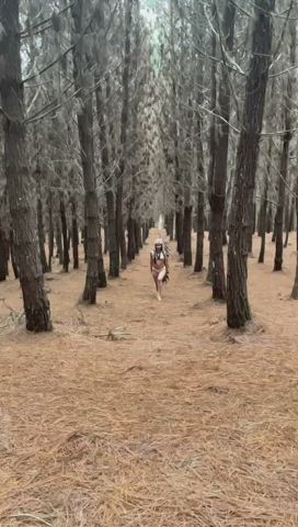 chaturbate indian naked gif