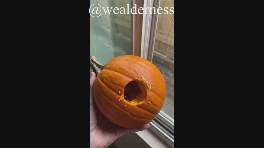 Remembering sweater weather