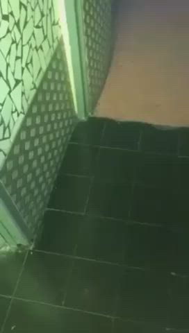 domination grabbing hair pulling kissing lesbians party squeezing sucking tits toilet