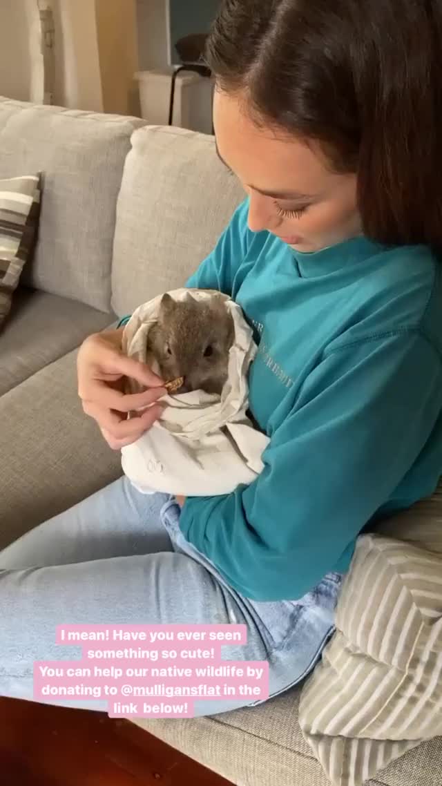 Alycia Debnam-Carey gif