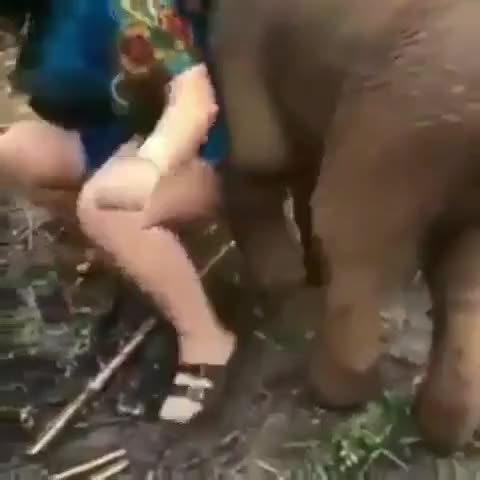 On today's episode of #whitegirlwednesday.....even other species want them thick