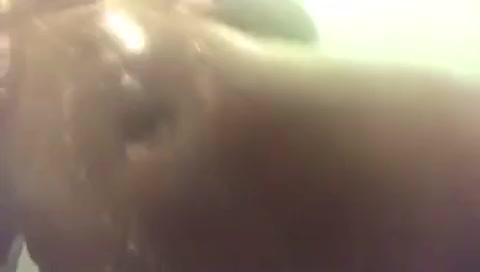 Trim.B5CBDEC0-85C7-41D4-879E-945D43C5A923 Porn GIF by slutshrekteeth | RedGIFs